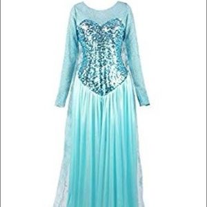 Women’s Elsa Frozen dress up costume 2x